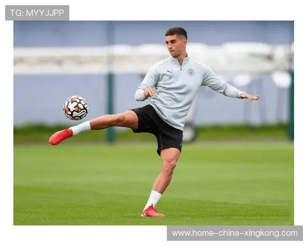 费兰托雷斯轻巧外脚背切传激活全队攻势,演绎足球魅力 费兰托雷斯轻巧外脚背切传激活全队攻势,演绎足球魅力